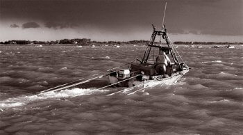 Scallop Season