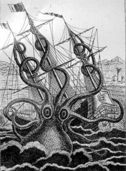 Squid! Exhibit